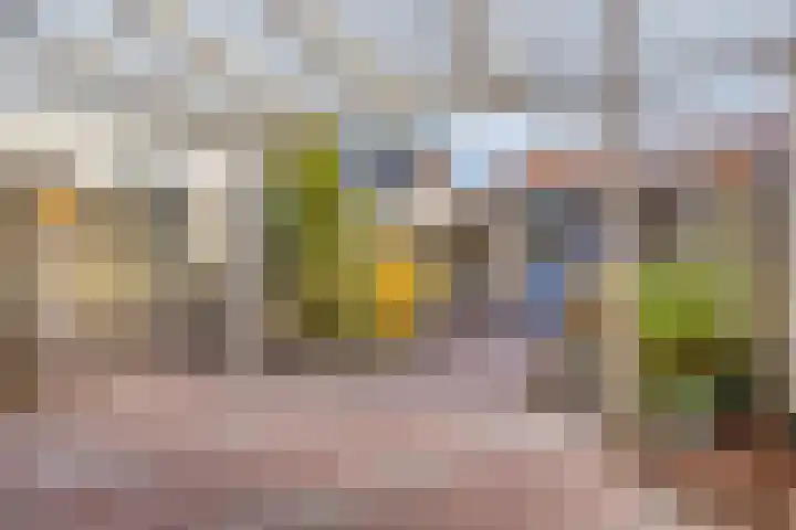 Pastoor Hoekx-singel 159 Rosmalen thumbnail 26