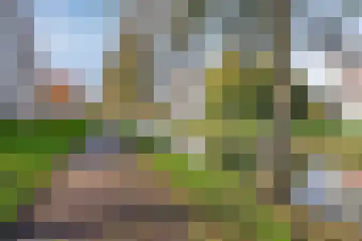 Pastoor Hoekx-singel 159 Rosmalen thumbnail 28