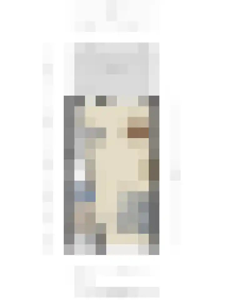 Pastoor Hoekx-singel 159 Rosmalen thumbnail 37