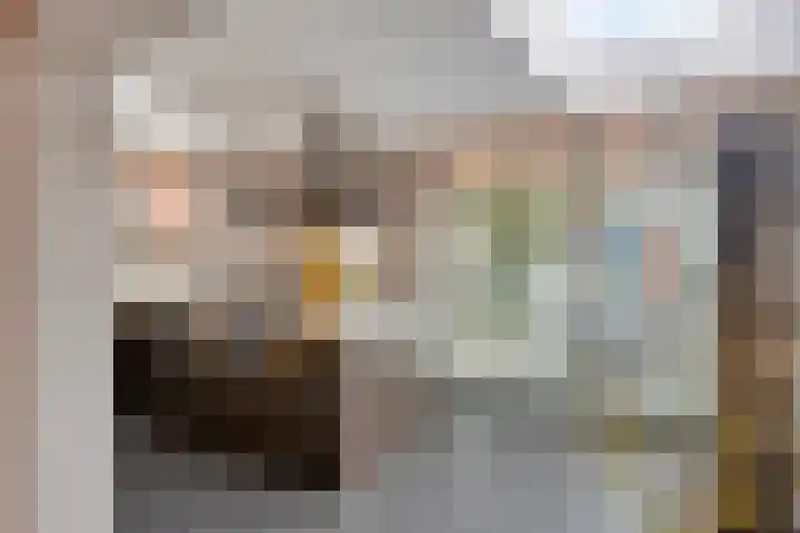 Pastoor Hoekx-singel 187 Rosmalen thumbnail 12