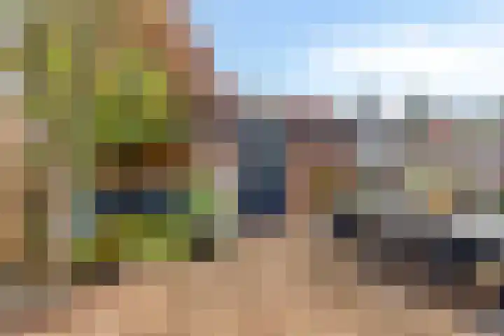 Pastoor Hoekx-singel 187 Rosmalen thumbnail 31