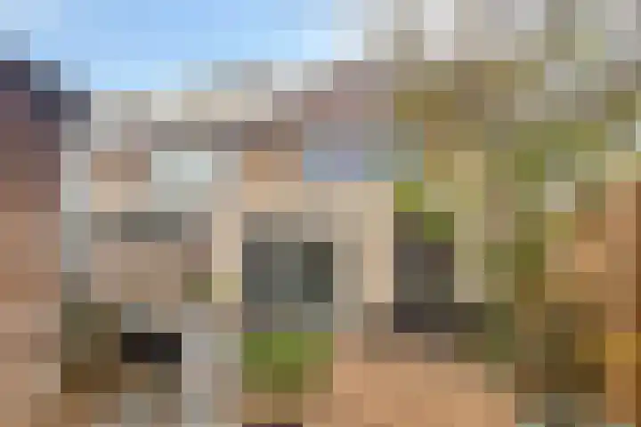 Pastoor Hoekx-singel 187 Rosmalen thumbnail 34