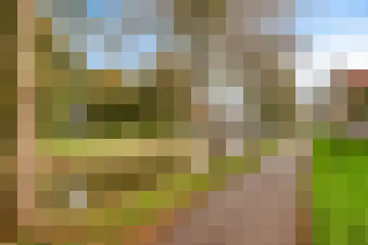 Pastoor Hoekx-singel 187 Rosmalen thumbnail 37