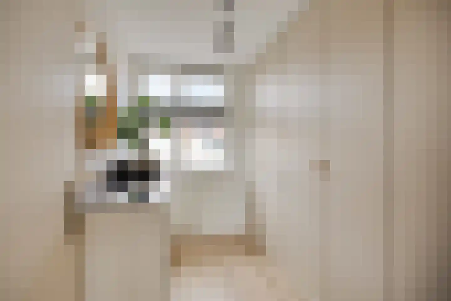 Pastoor Hoekx-singel 195 Rosmalen thumbnail 25