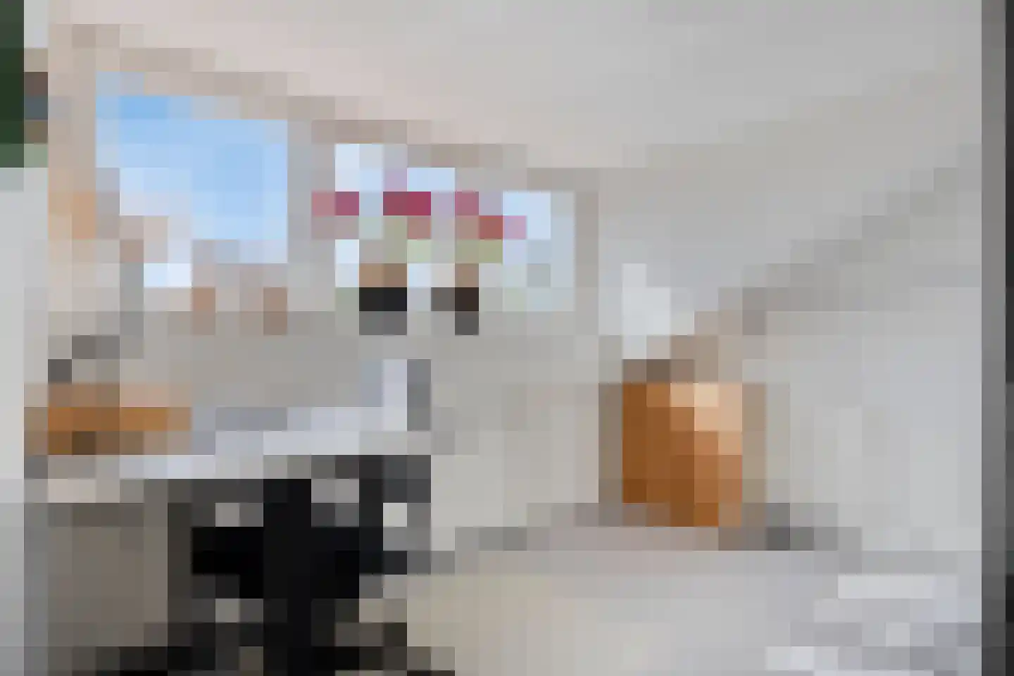 Pastoor Hoekx-singel 195 Rosmalen thumbnail 33