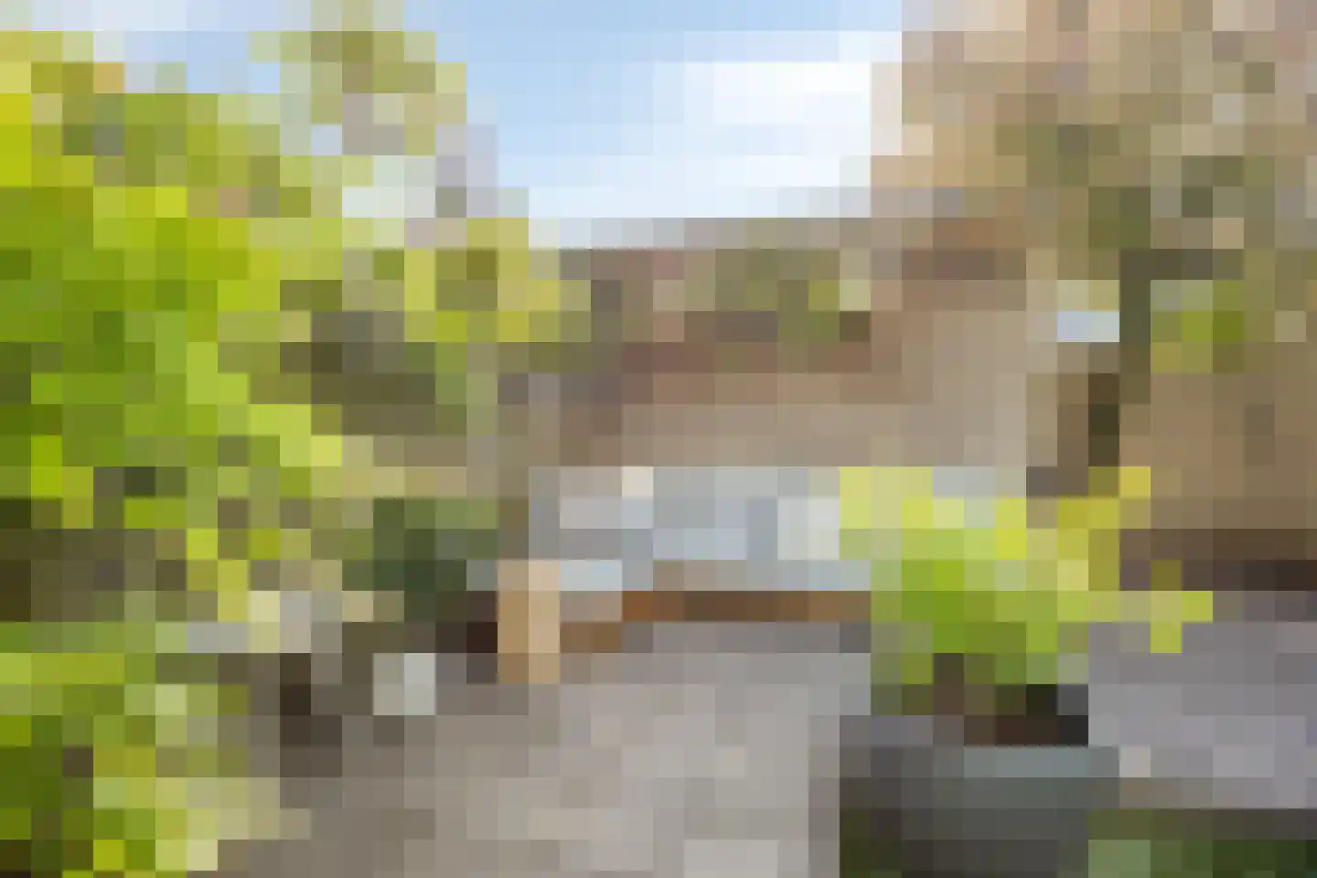 Pastoor Hoekx-singel 195 Rosmalen thumbnail 39