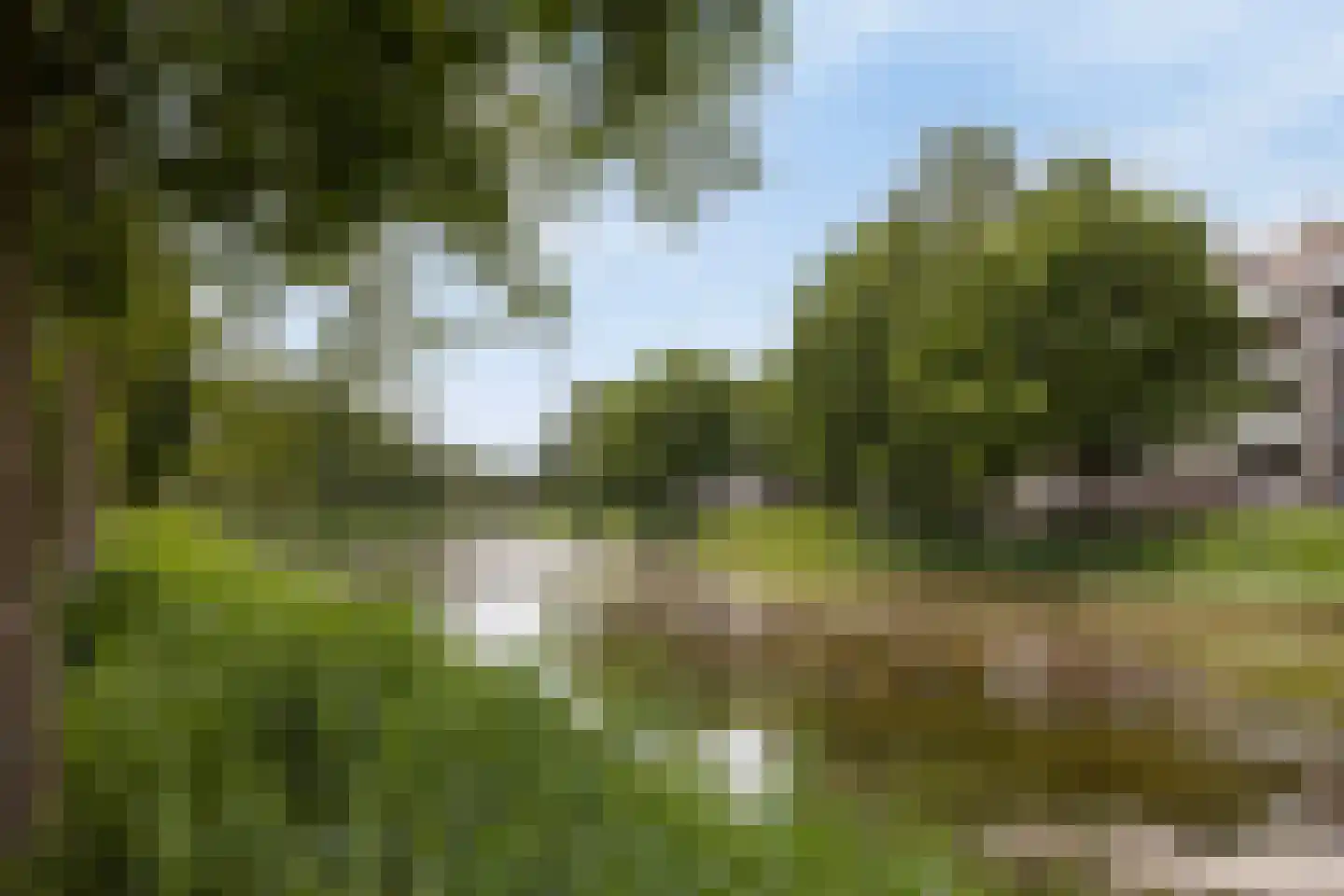 Pastoor Hoekx-singel 21 Rosmalen thumbnail 26