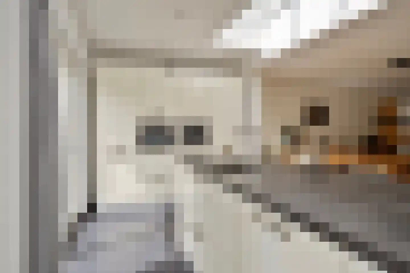 Pastoor Hoekx-singel 21 Rosmalen thumbnail 6