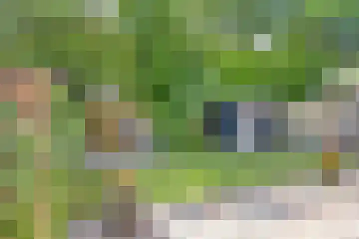 Pastoor Hoekx-singel 38 Rosmalen thumbnail 37