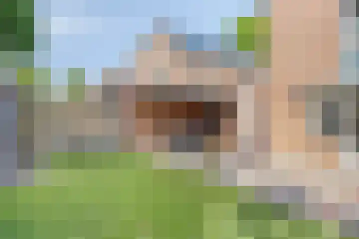 Pastoor Hoekx-singel 38 Rosmalen thumbnail 38