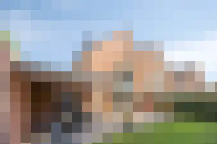 Pastoor Hoekx-singel 38 Rosmalen thumbnail 40