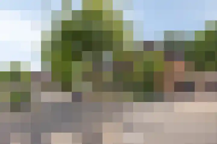 Pastoor Hoekx-singel 38 Rosmalen thumbnail 44