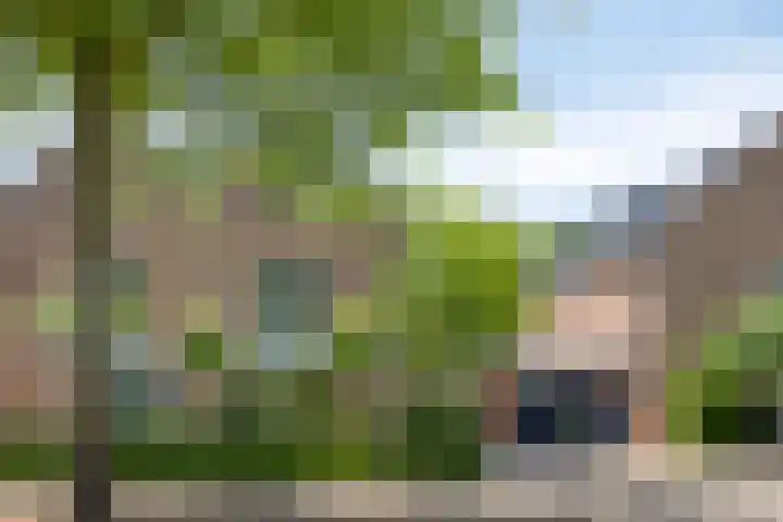 Pastoor Hoekx-singel 38 Rosmalen thumbnail 45