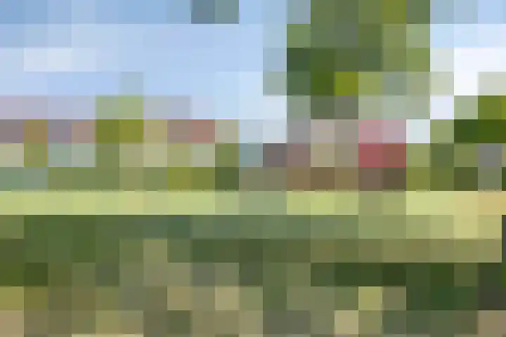 Pastoor Hoekx-singel 38 Rosmalen thumbnail 46