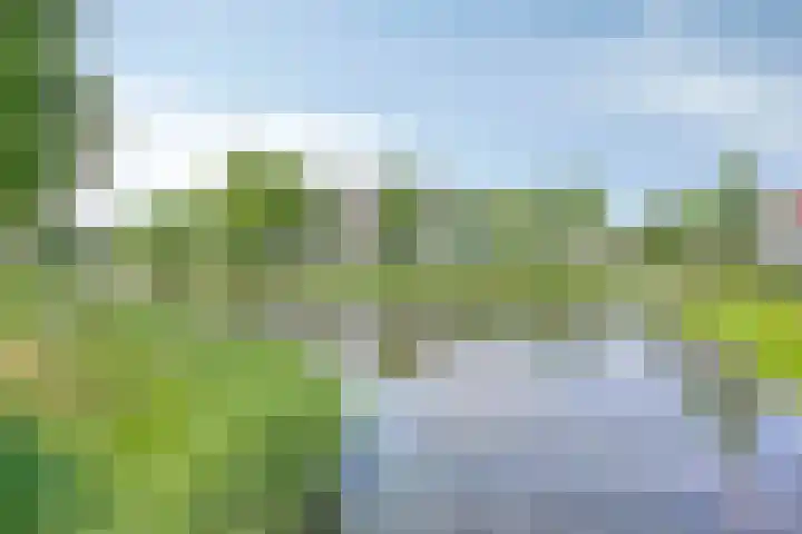 Pastoor Hoekx-singel 38 Rosmalen thumbnail 48
