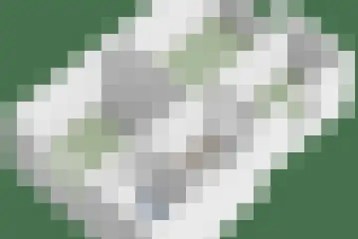Pastoor Hoekx-singel 38 Rosmalen thumbnail 54