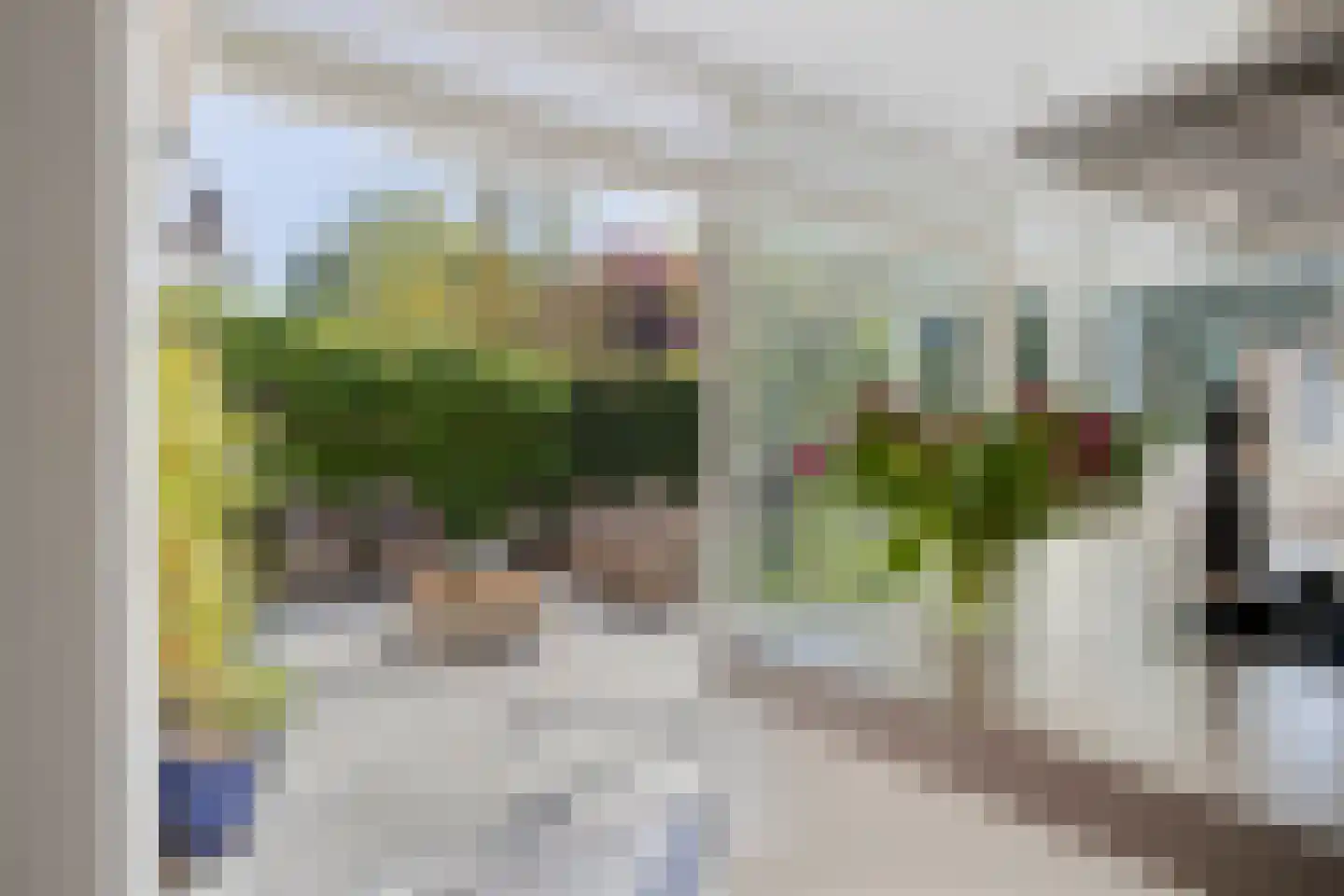 Pastoor Hoekx-singel 50 Rosmalen thumbnail 13