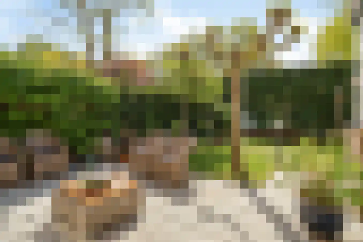 Pastoor Hoekx-singel 50 Rosmalen thumbnail 14