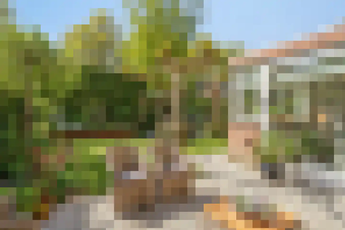 Pastoor Hoekx-singel 50 Rosmalen thumbnail 15