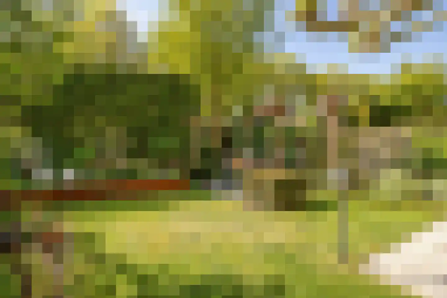 Pastoor Hoekx-singel 50 Rosmalen thumbnail 16