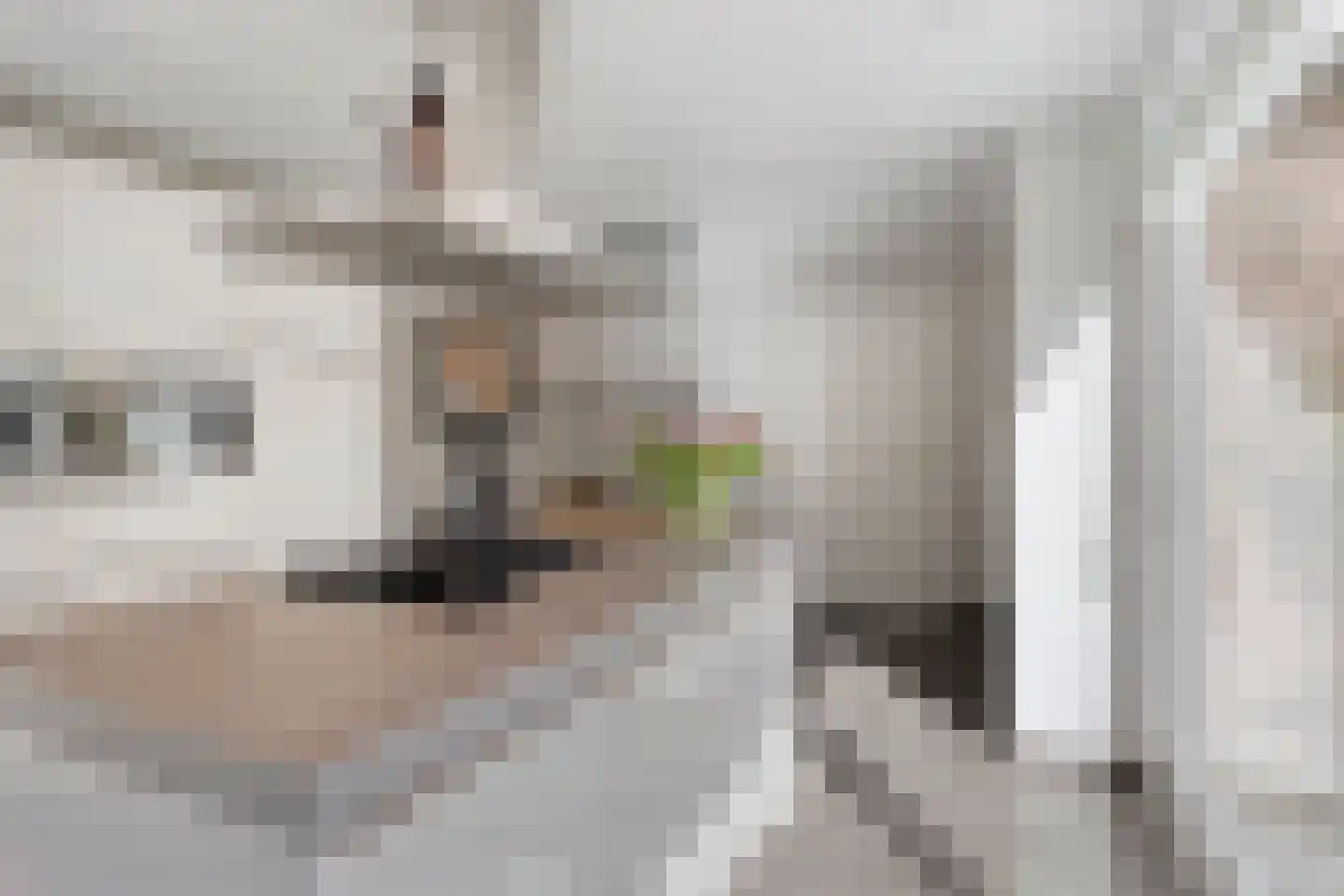 Pastoor Hoekx-singel 50 Rosmalen thumbnail 18