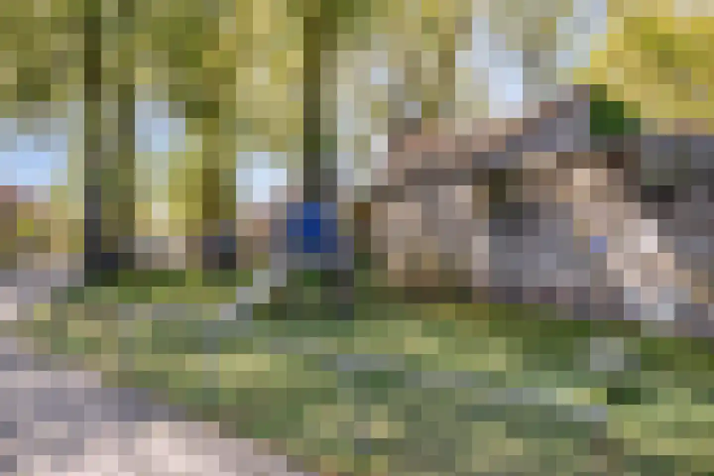 Pastoor Hoekx-singel 50 Rosmalen thumbnail 38