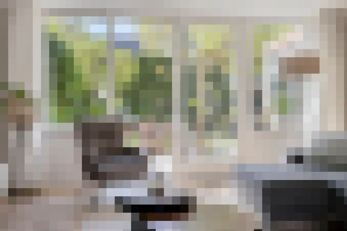 Pastoor Hoekx-singel 50 Rosmalen thumbnail 6