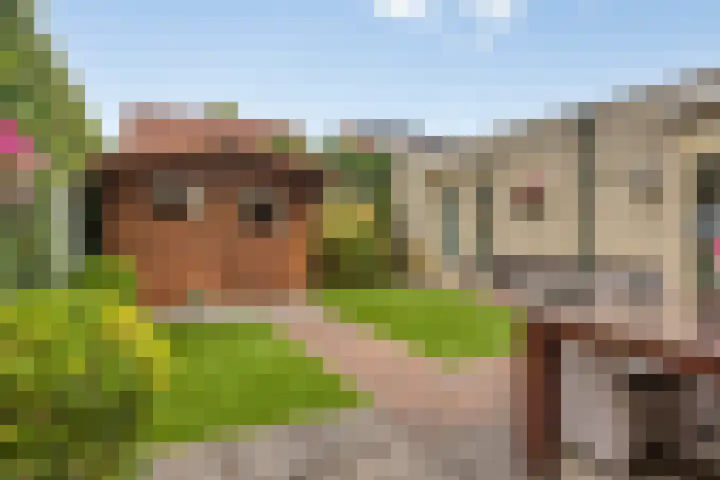 Pastoor Hoekx-singel 63 Rosmalen thumbnail 29