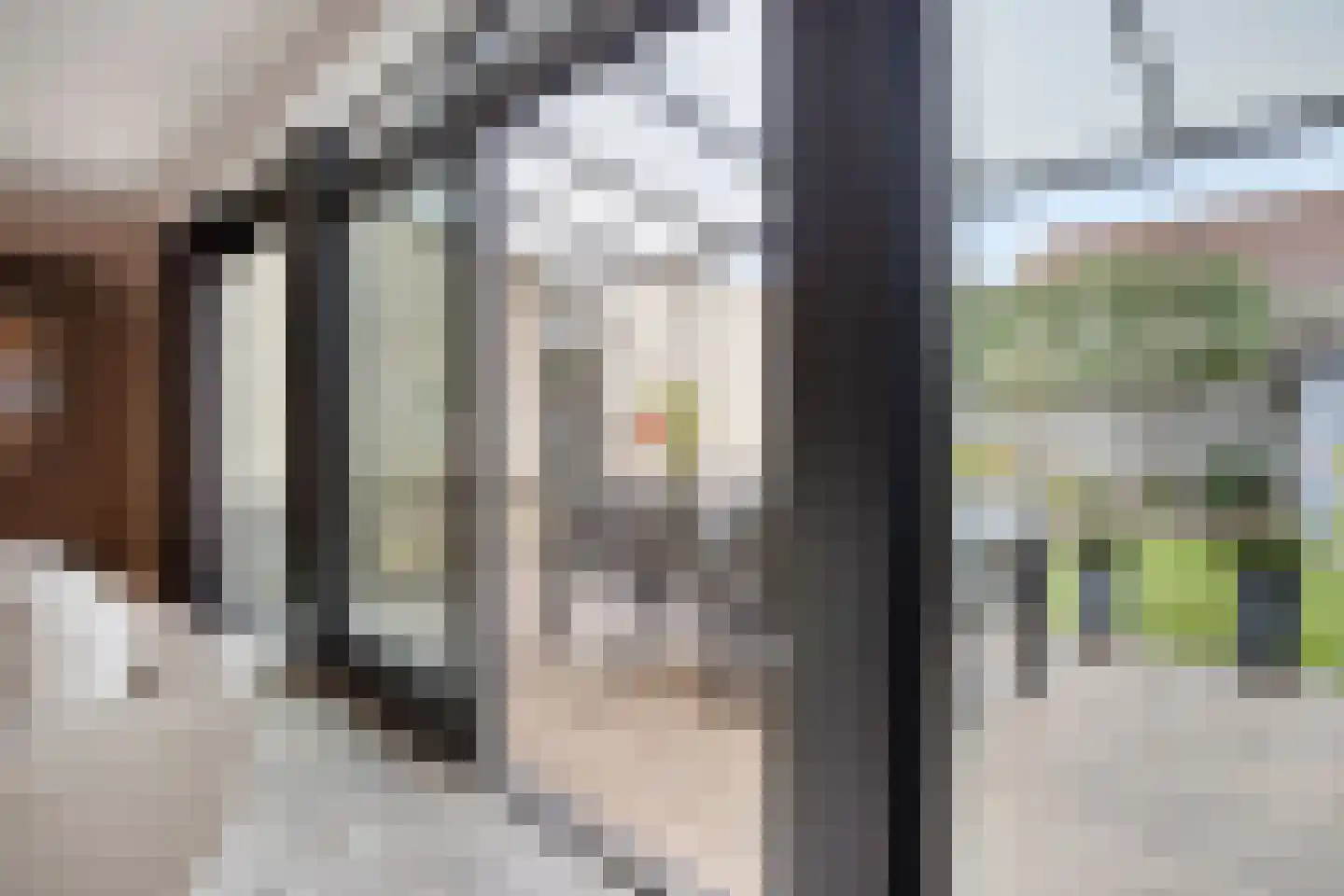 Pastoor Hoekx-singel 65 Rosmalen thumbnail 6