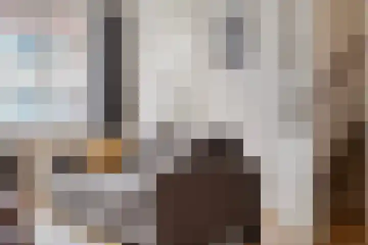 Pastoor Hoekx-singel 69 Rosmalen thumbnail 10