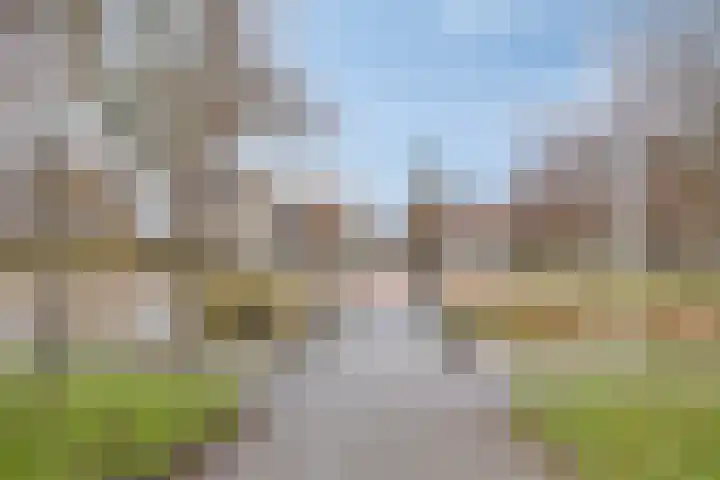 Pastoor Hoekx-singel 69 Rosmalen thumbnail 34