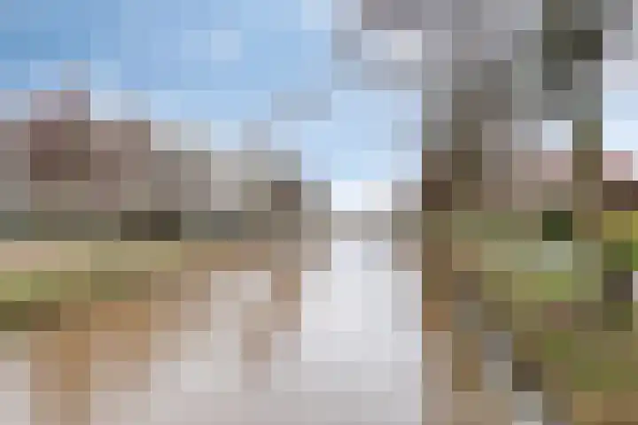 Pastoor Hoekx-singel 69 Rosmalen thumbnail 35