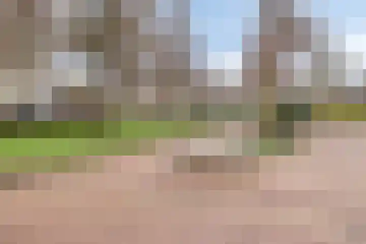 Pastoor Hoekx-singel 69 Rosmalen thumbnail 38