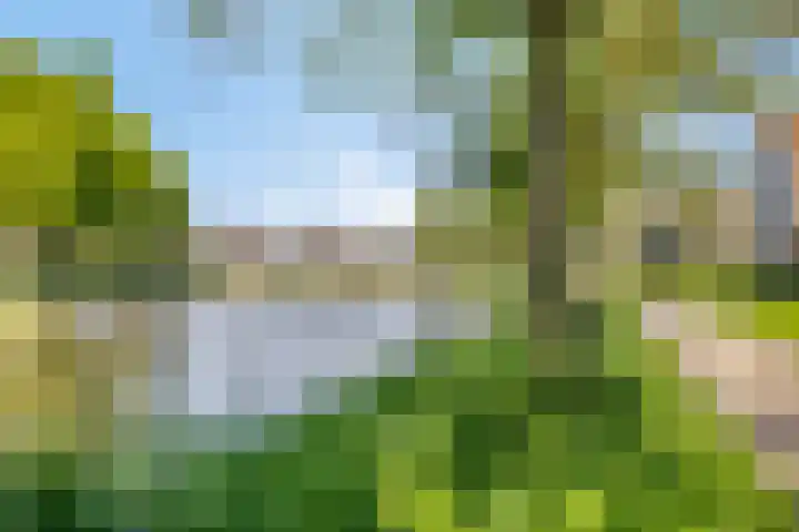 Pastoor Hoekx-singel 75 Rosmalen thumbnail 30