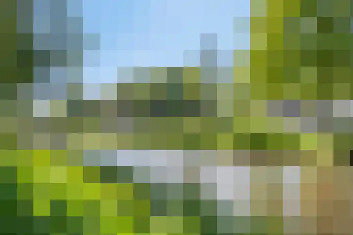 Pastoor Hoekx-singel 75 Rosmalen thumbnail 32