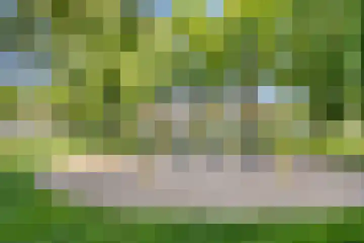 Pastoor Hoekx-singel 75 Rosmalen thumbnail 33