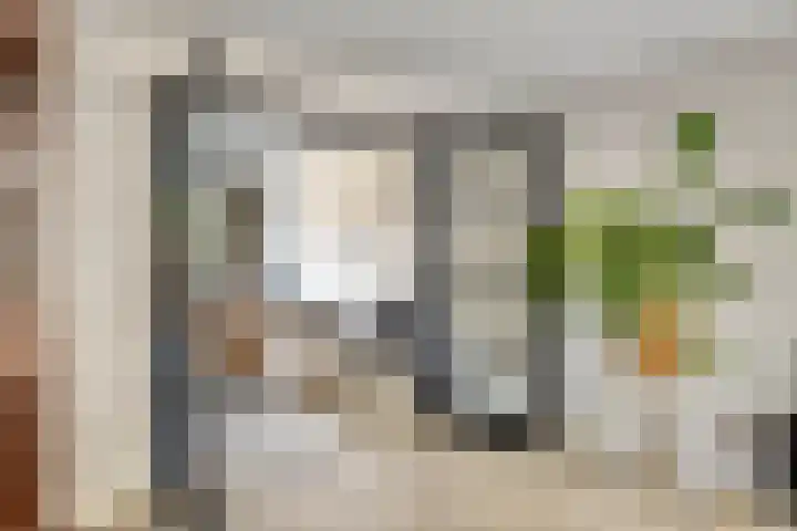 Pastoor Hoekx-singel 75 Rosmalen thumbnail 8