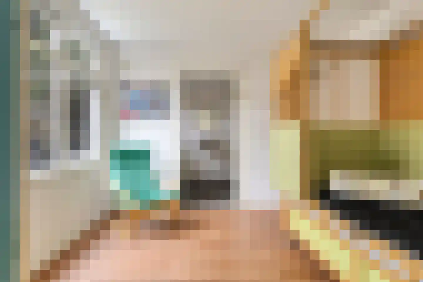 Pastoor Hopperlaan 12 Tolbert thumbnail 16