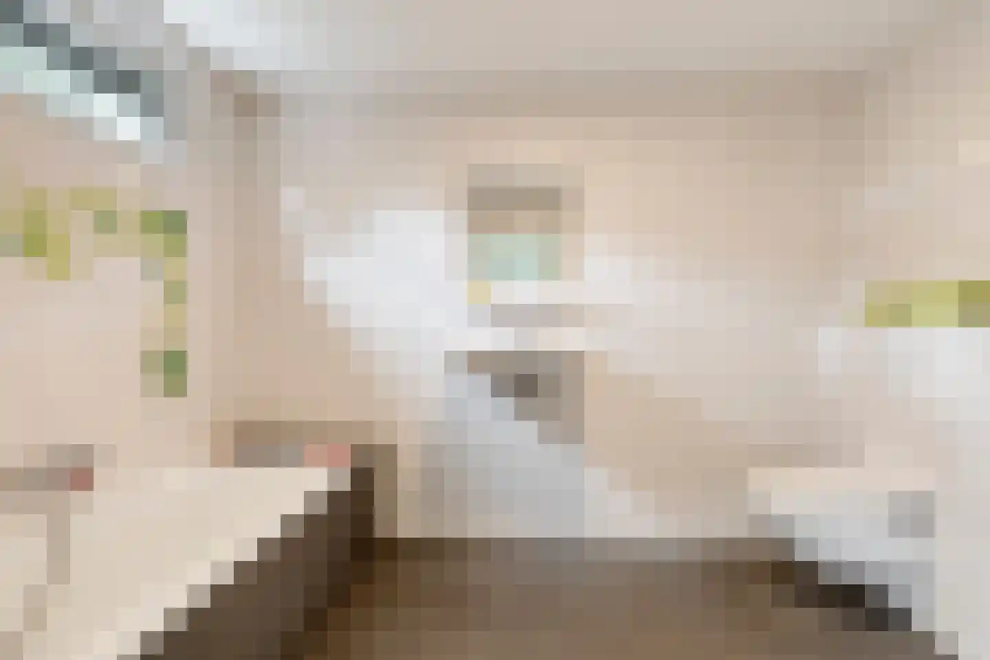 Pastoor Hopperlaan 12 Tolbert thumbnail 17