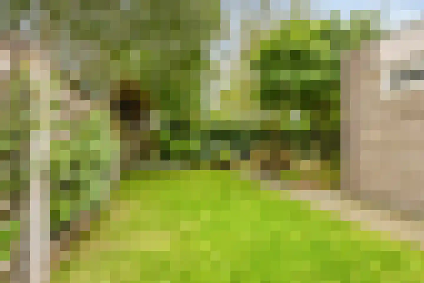 Pastoor Hopperlaan 12 Tolbert thumbnail 31