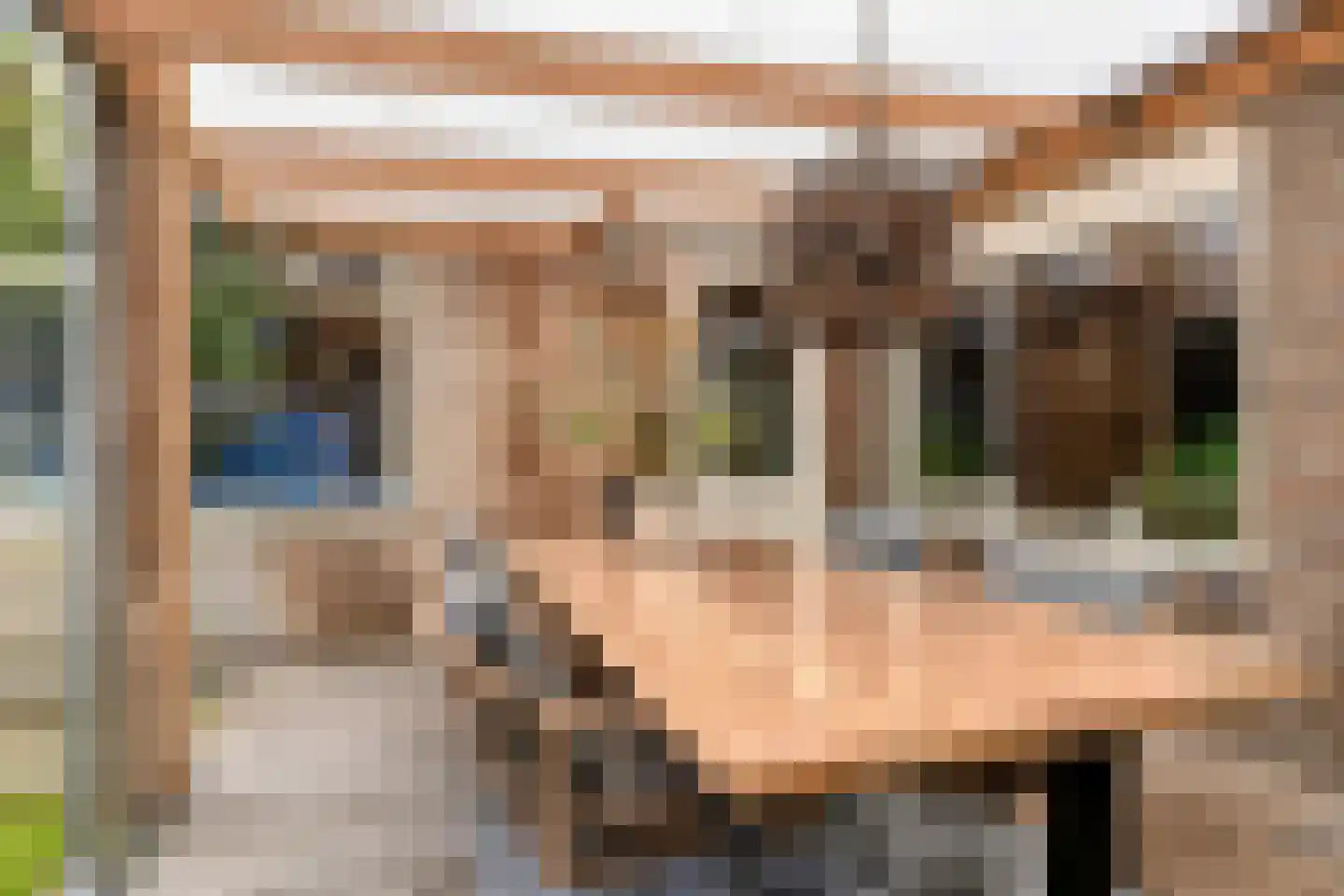 Pastoor Hopperlaan 12 Tolbert thumbnail 32