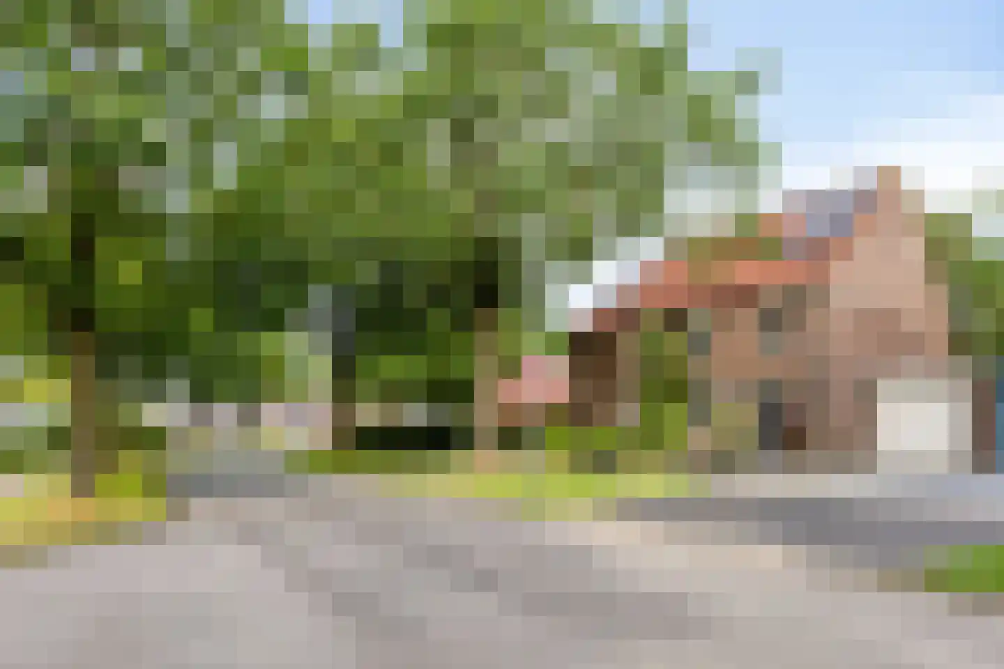 Pastoor Hopperlaan 12 Tolbert thumbnail 35