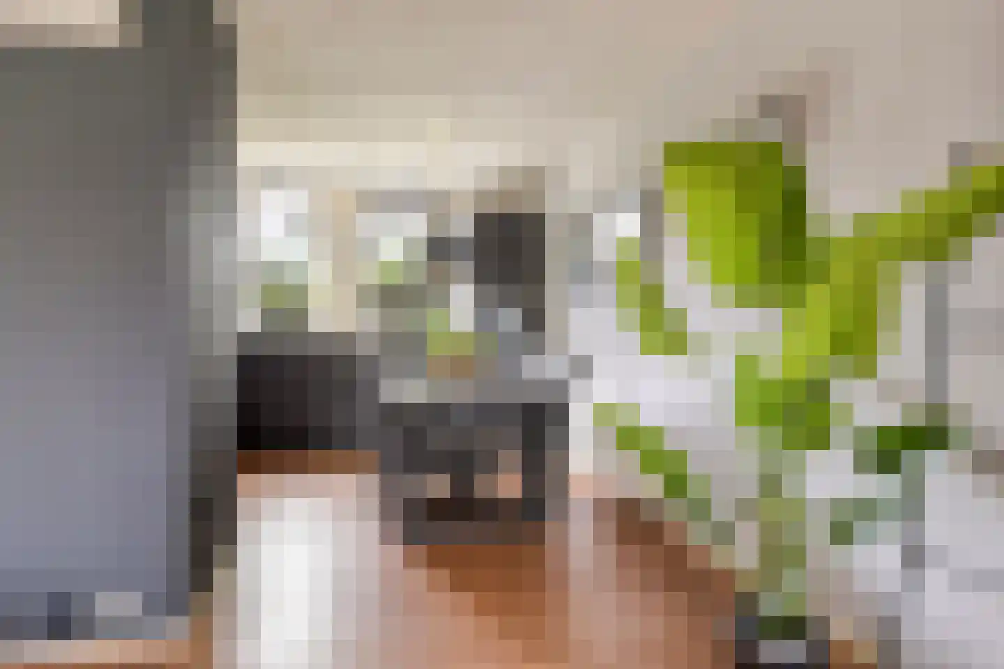 Pastoor Hopperlaan 12 Tolbert thumbnail 8