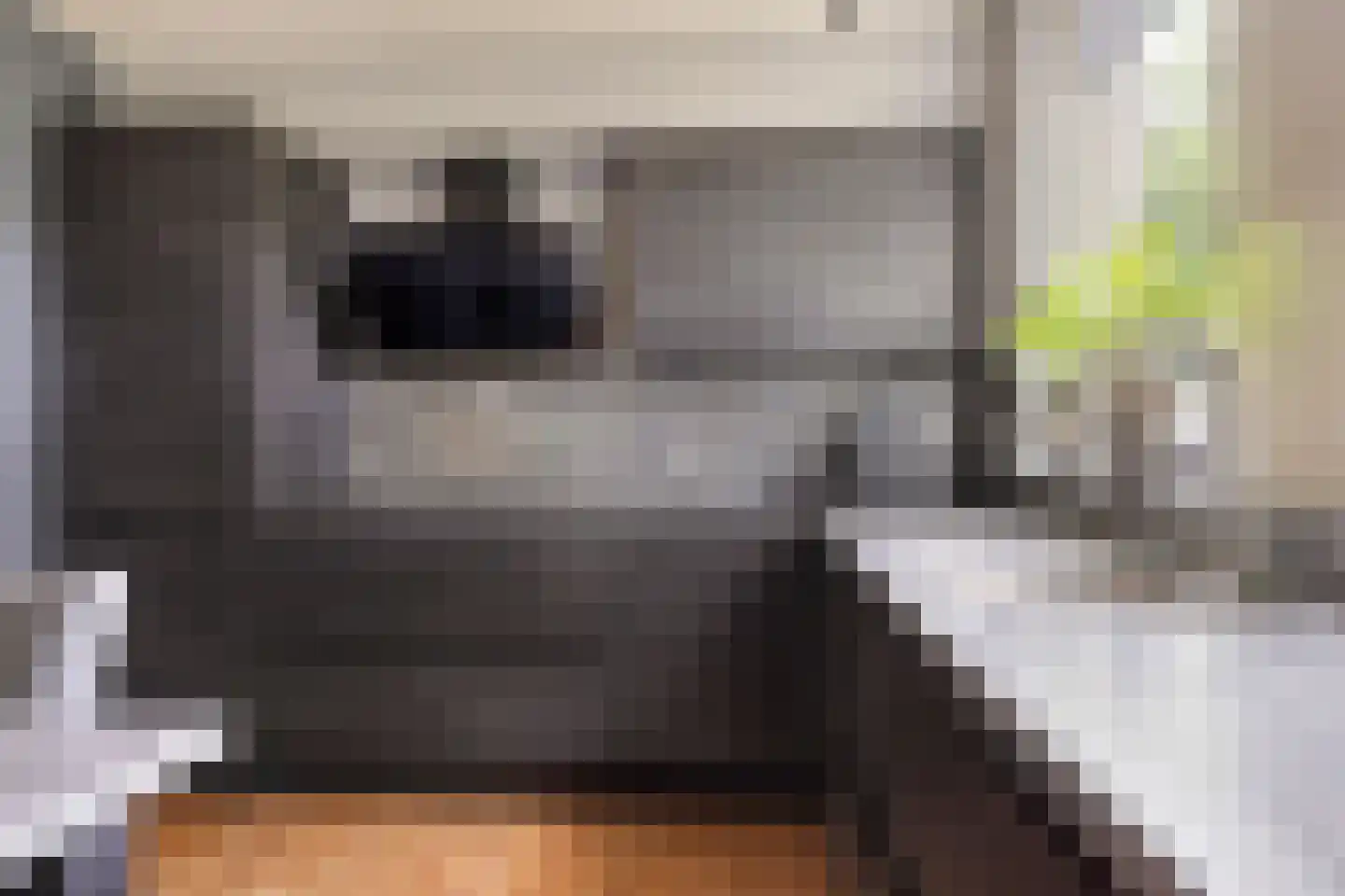 Pastoor Hopperlaan 12 Tolbert thumbnail 9