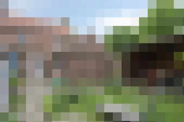 Pastoor Hordijkstraat 28 Rosmalen thumbnail 19