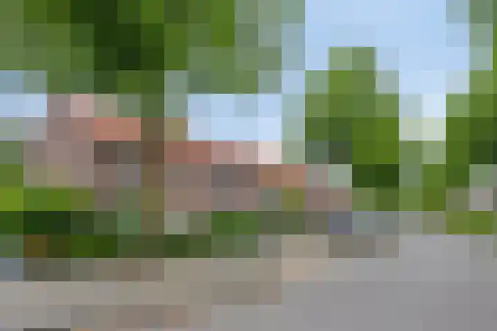 Pastoor Hordijkstraat 28 Rosmalen thumbnail 22