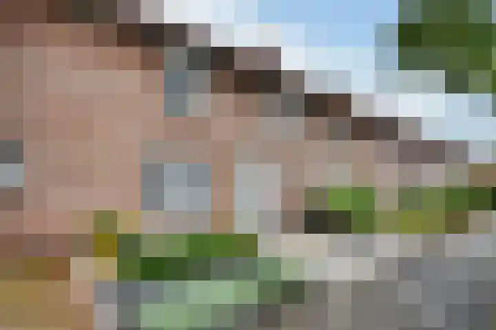 Pastoor Hordijkstraat 36 Rosmalen thumbnail 33