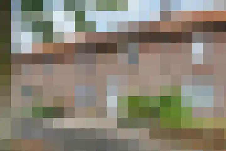 Pastoor Hordijkstraat 36 Rosmalen thumbnail 34