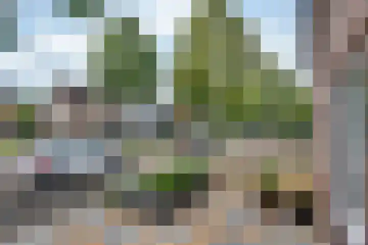 Pastoor Hordijkstraat 36 Rosmalen thumbnail 36