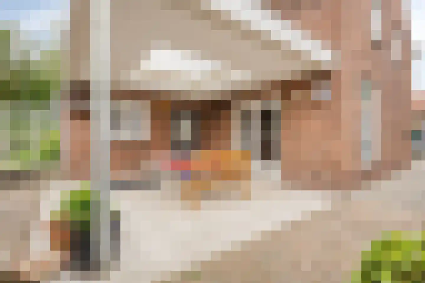 Pastoor Hordijkstraat 7 Rosmalen thumbnail 17